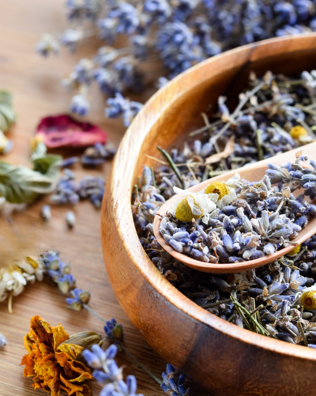 Sleep Tea Blend