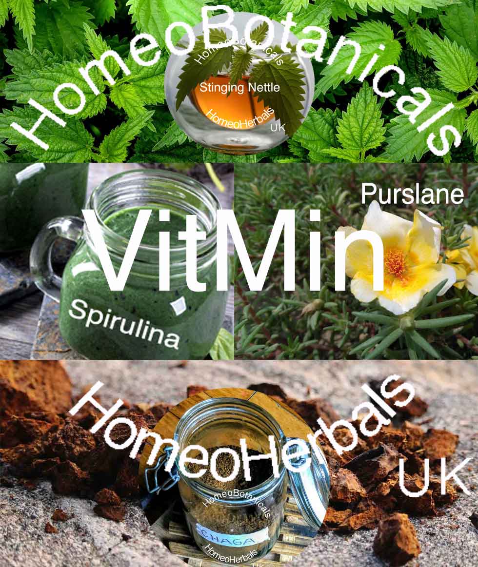 Homeobotanicals Consultations