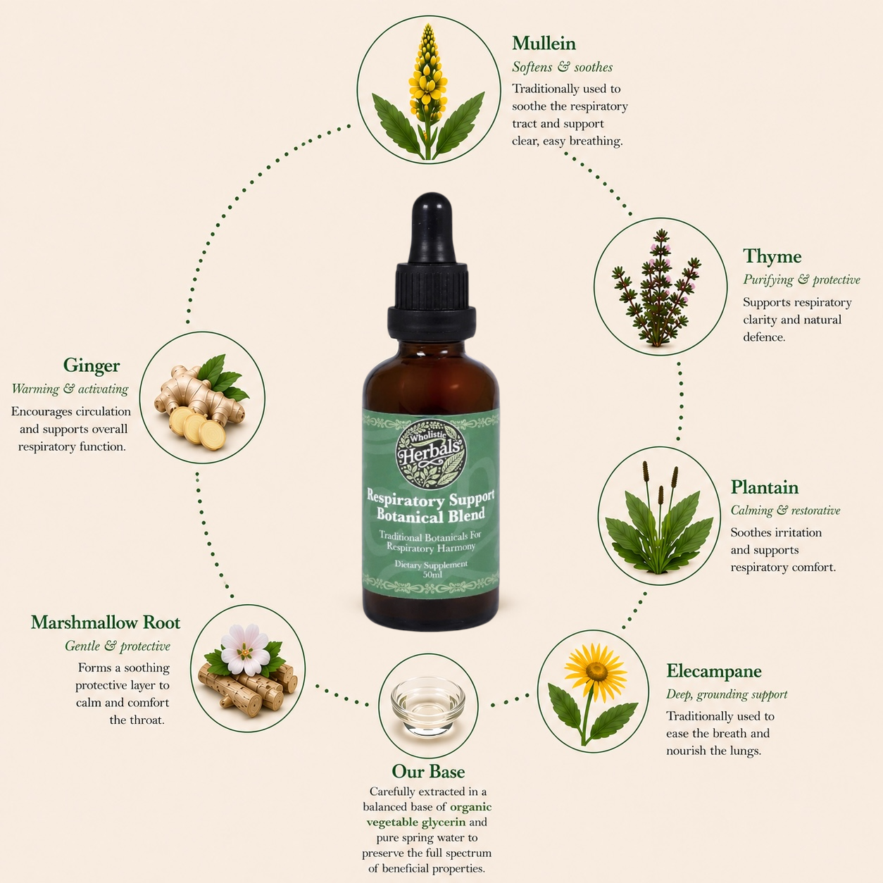 The Autumn/ Winter Medicine Cabinet (Save 15%)
