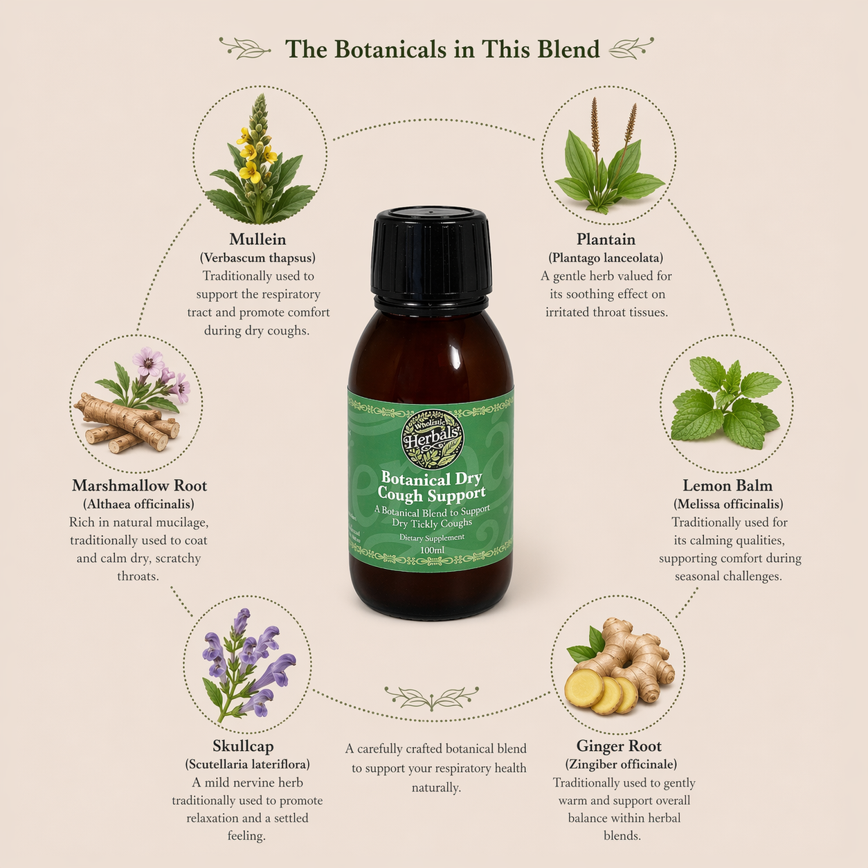 Botanical Dry Cough Support