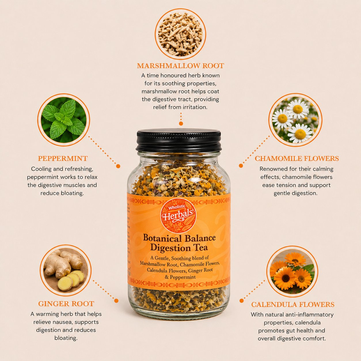 Digestive Tea Blend
